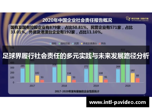 足球界履行社会责任的多元实践与未来发展路径分析